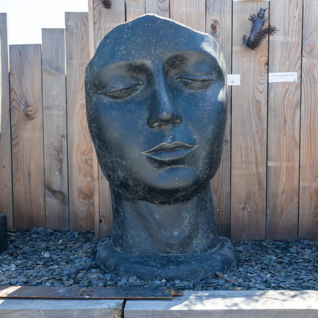 VISAGE-FEMME