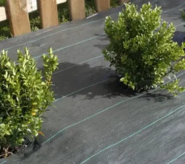 Toile de paillage verte