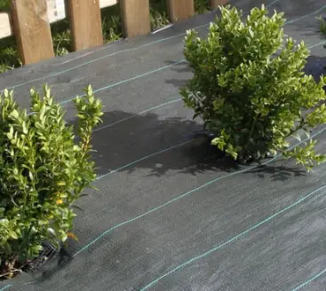 Toile de paillage verte