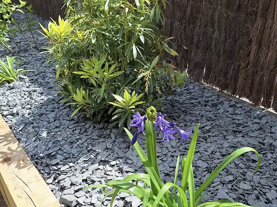 PAILLETTES ARDOISE NOIRE (2)